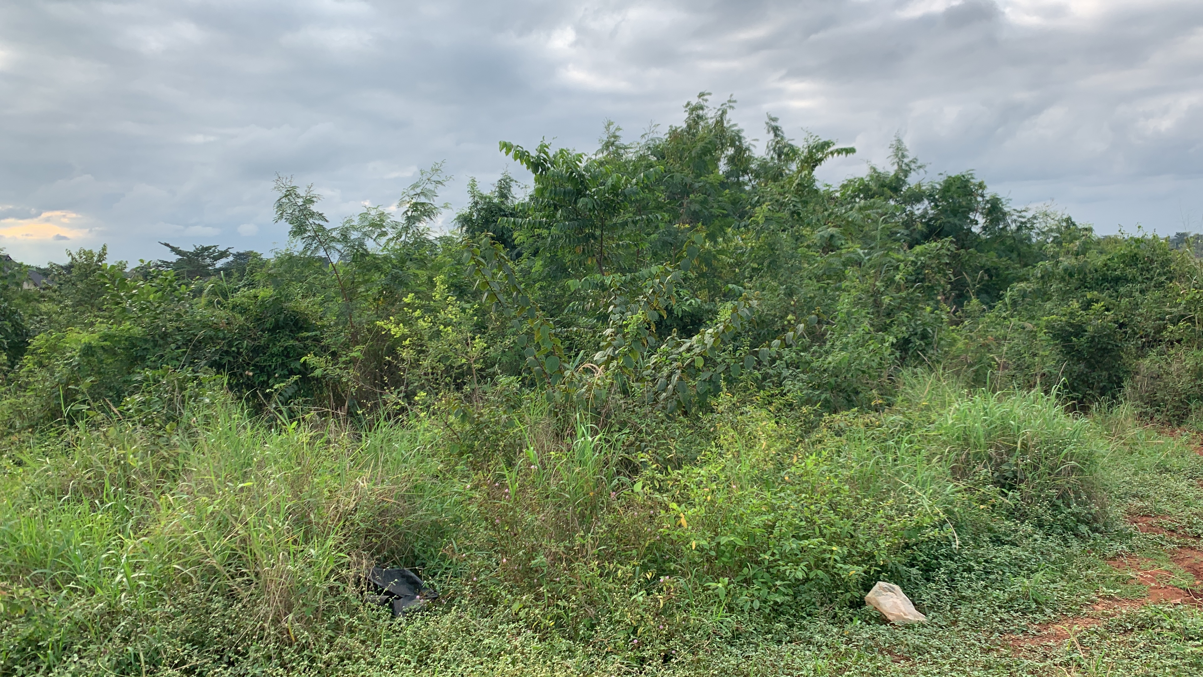 Half Plot of Land for Sale Behind SUSEC, Sunyani