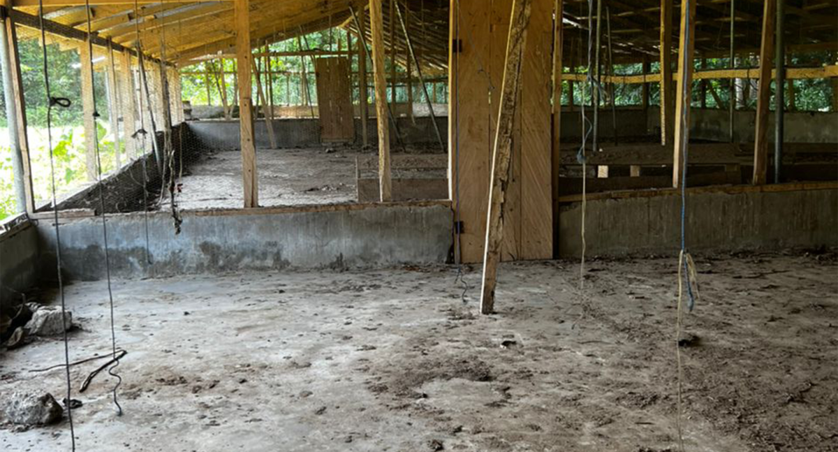 3.5 Acres Fully-Developed Poultry Farm for Sale – Antwikrom, Sunyani