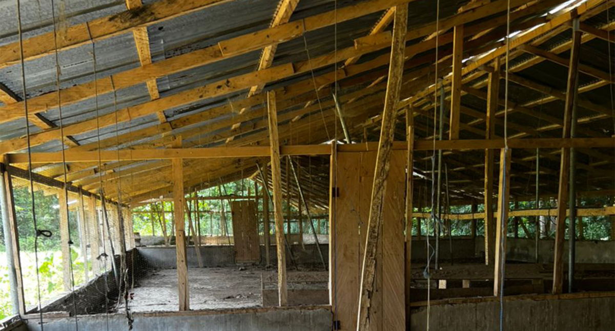 3.5 Acres Fully-Developed Poultry Farm for Sale – Antwikrom, Sunyani