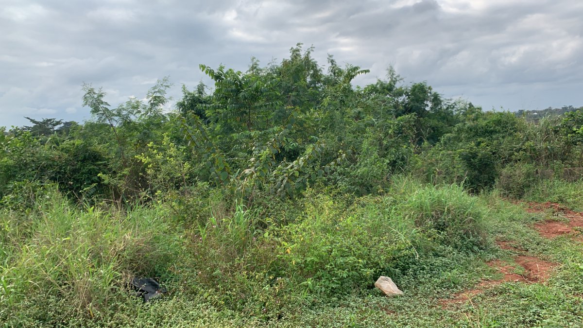 1 Plot of Land for Sale Behind SUSEC, Sunyani