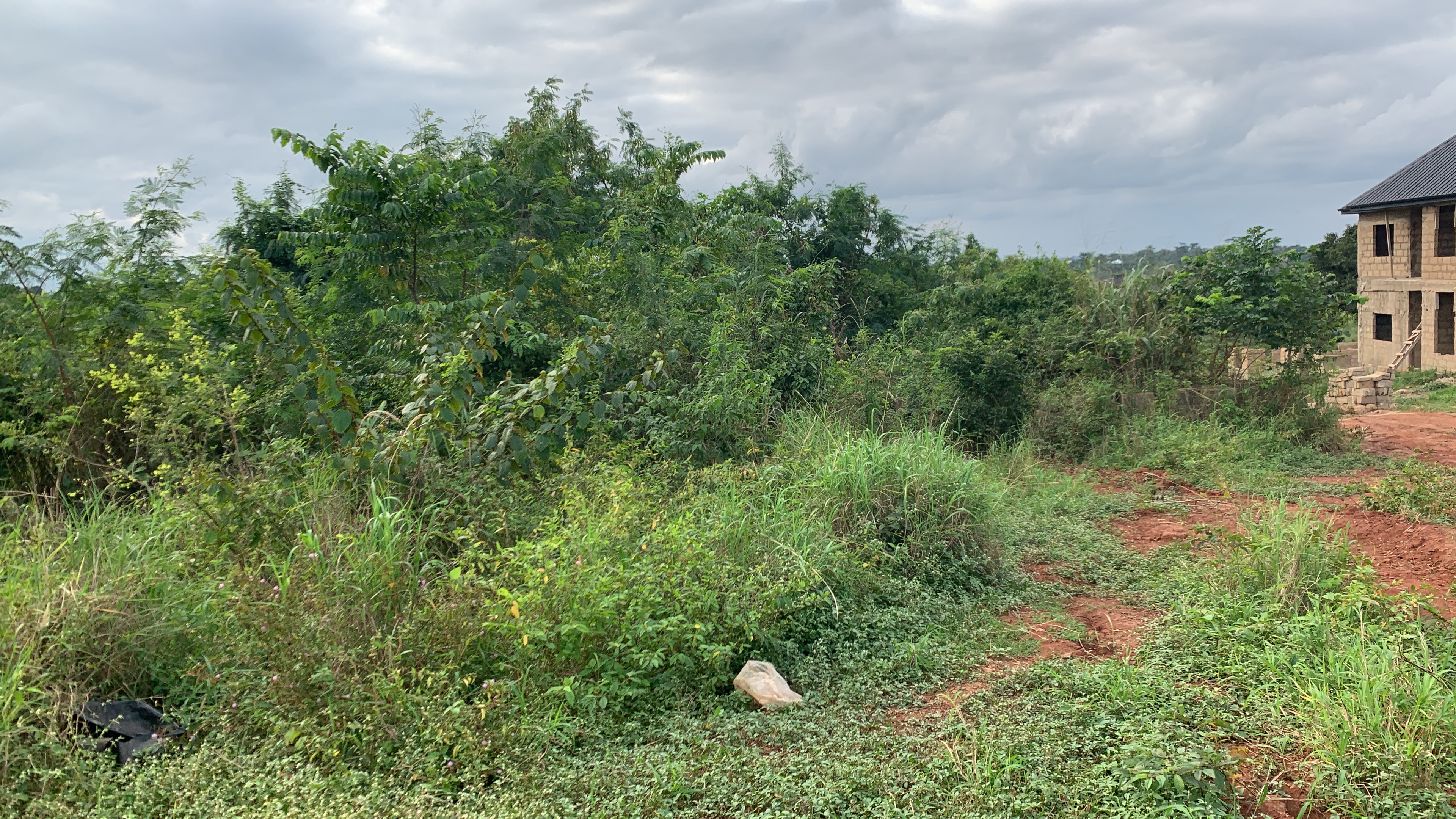 Half Plot of Land for Sale Behind SUSEC, Sunyani