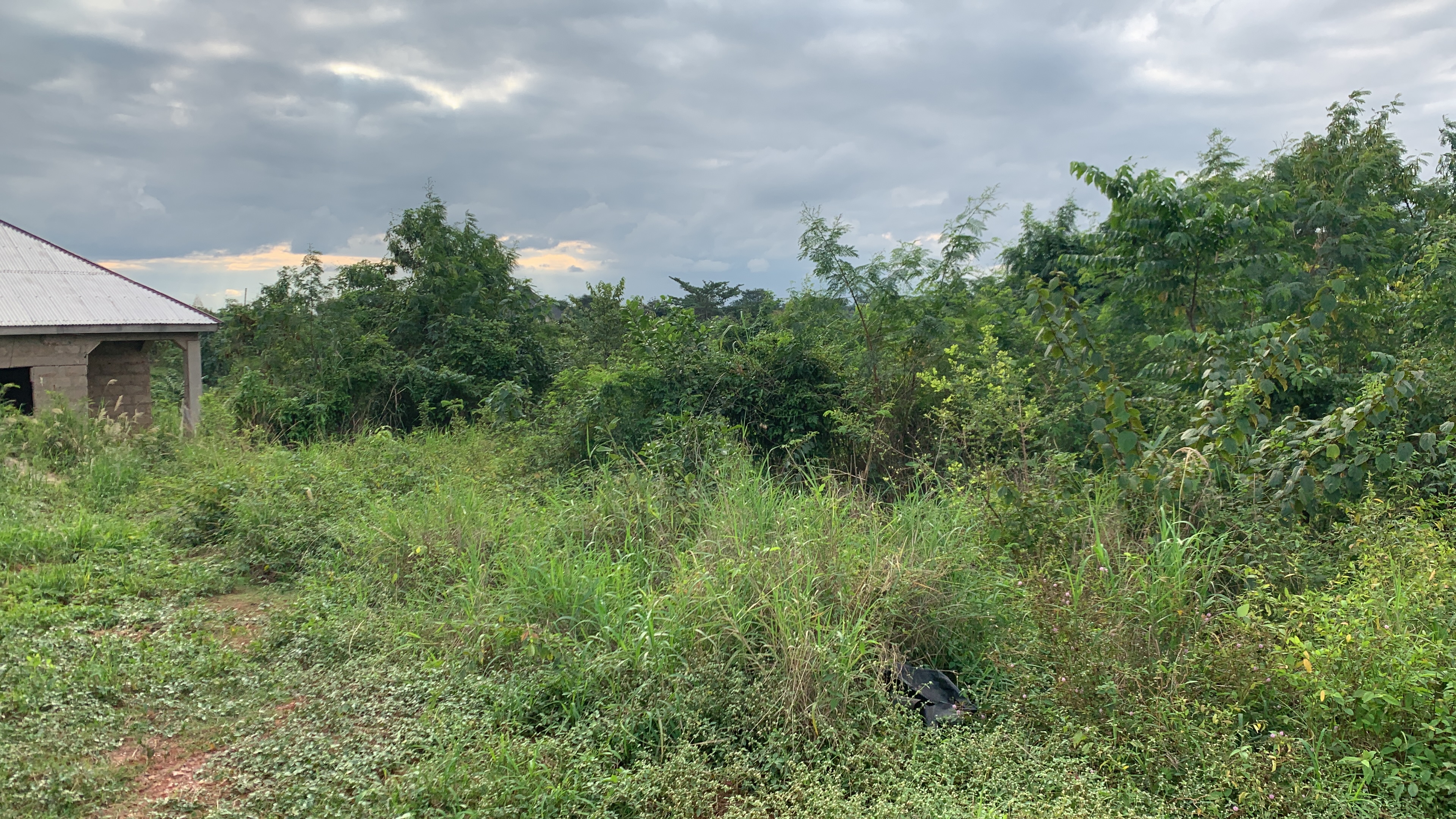 Half Plot of Land for Sale Behind SUSEC, Sunyani