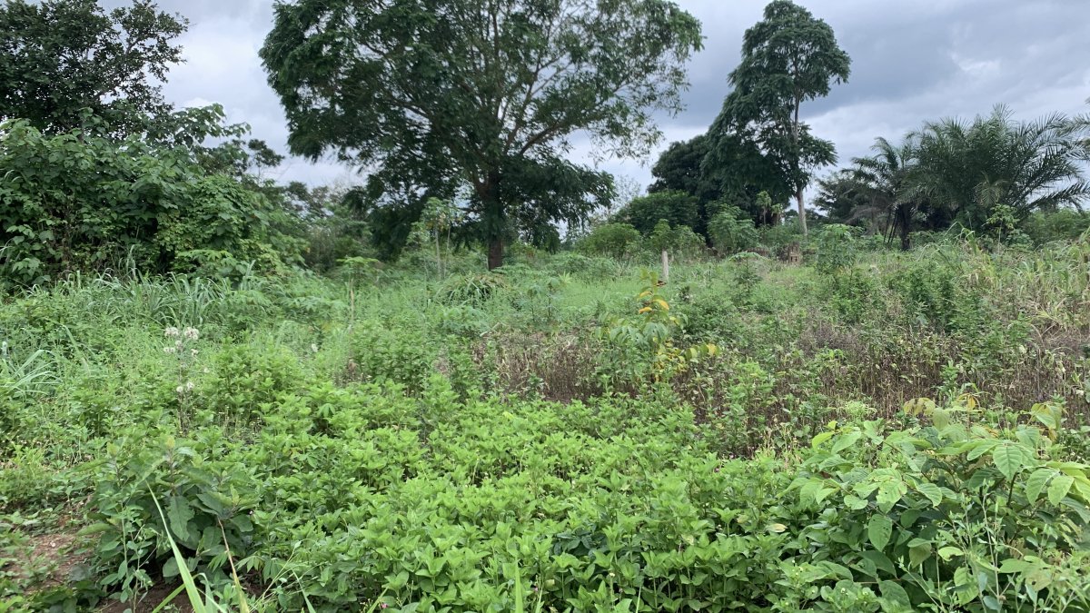 Full Plot of Land for Sale at Abesim Town, Sunyani