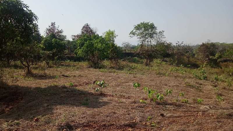 Residential Plot for Sale at Tano-Agya