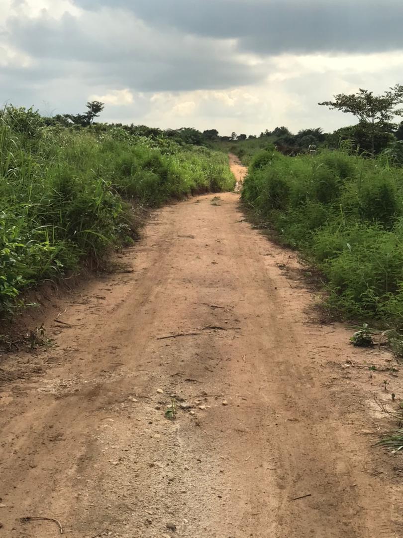 Land for Sale at Tanoso (Near 1D1F Area)