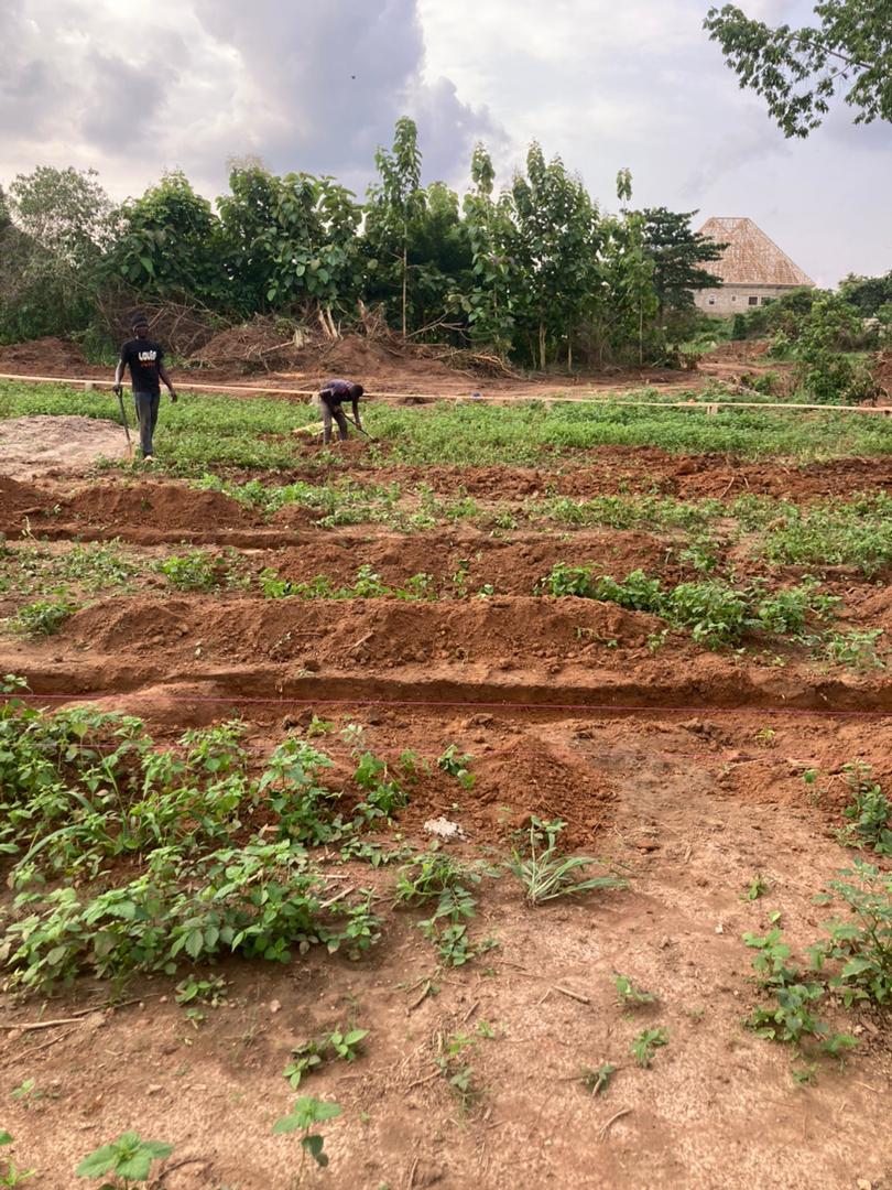 Residential Plot for Sale at Berlin Top